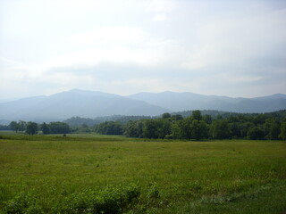 landscape with grass and mountains