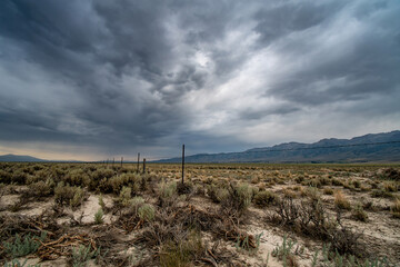 DARK CLOUDS OVER DRY FIELD OF MESQUITE AND DISTANT MOUNTAINS IN NEVADA