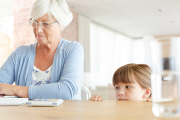 Older woman and granddaughter using calculator