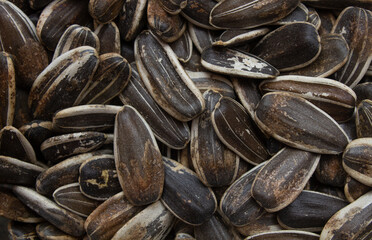Sunflower seed healthy natural snack