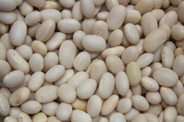 white beans background, withe beans close up