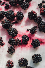 juicy blackberries drying on white paper towel