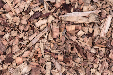 wood texture. still life. macro photographywood texture. still life. macro photography
