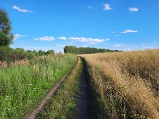 Obraz premium path in the field