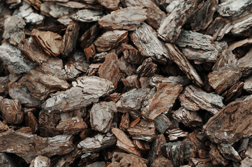 Firewood. Abstract wooden background.	