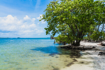 An uninhabited island on the Indian River. Clean sandy beach and shade from trees on a hot sunny day. Vero Beach, Florida