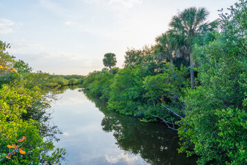 Fototapeta na wymiar Swamp Channel at Pelican Island National Wildlife Refuge, Florida. A beautiful location for bird watching, hiking trails and excursions.