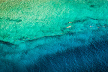 Fototapeta na wymiar Snorkeling in the Clear Water of the Caribbean Sea