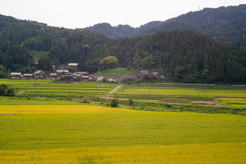 Fototapeta na wymiar 石川県輪島市の山沿いの風景 Scenery along the mountains in Wajima, Ishikawa Prefecture
