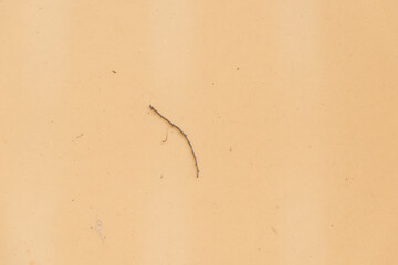 foam or spongy texture with debris
