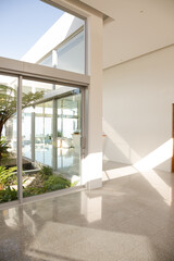 Plants growing in modern courtyard