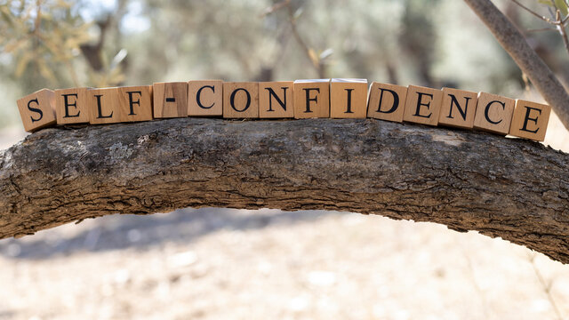 The word self-confidence was created from wooden cubes. Photographed on the tree..