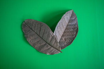Dried indigo leaves lay on a green background.