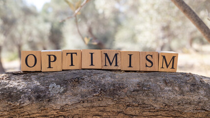 The Word Optimism was created from wooden cubes. Photographed on the tree..