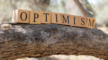 The Word Optimism was created from wooden cubes. Photographed on the tree..