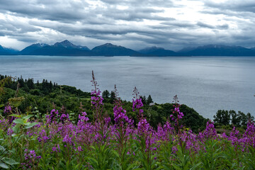 breathtaking view on mountains and ocean bay close to Homer Alaska