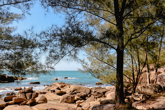 Trilha na Praia do Rosa em Imbituba/ SC