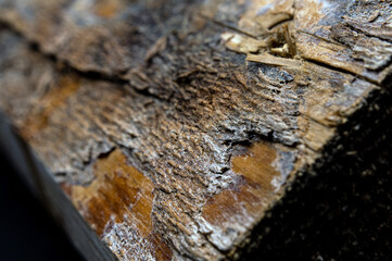 Close-up details of used, distressed, weathered pine pallet wood grain pattern with selective focus for copy space on a black background.