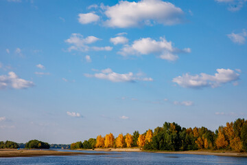 Autumn colored forest view - sunny day picturesque landscape with river Ob, Russia, Siberia and yellowed autumn. Blue sky with heap of clouds over the fall forest