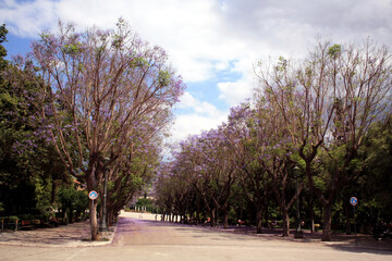 Obraz premium Athens