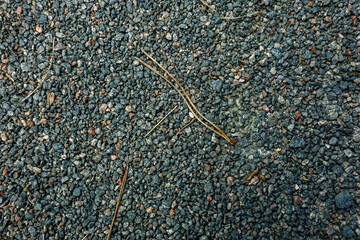 Background, small stones of gray color on a ground. High quality photo