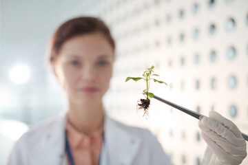 Botanist holding plant with tweezers