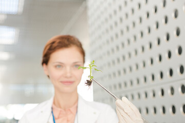Botanist holding plant with tweezers