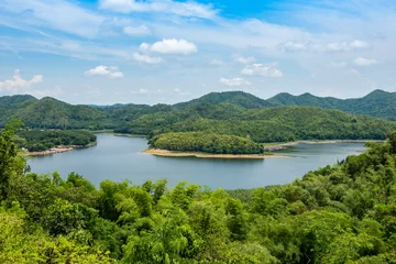 Crédence de cuisine  River forest nature woodland area green tree, river lagoon pond with blue water green forest beautiful fresh environment landscape jungles lake with village by the river  © Bigc Studio