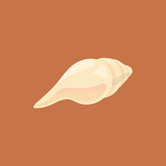 illustration of a conch shell or sea conch. animal. flat cartoon style. vector design