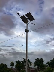 A Bird Near to a Street Lamp Post