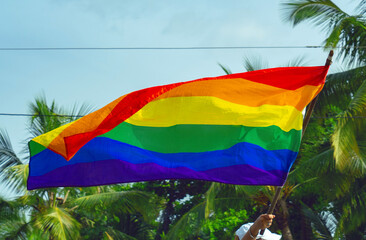 A hand holds a big rainbow flag in support of the LGBTQ movement, in the background green trees.