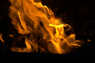 Fototapeta premium fire in the fireplace