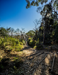 小牧山城正面大手道
