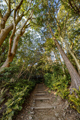 小牧山城へ続く道