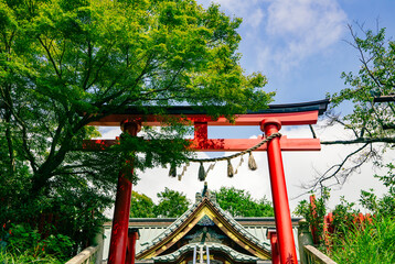 高尾山薬王院　鳥居　夏