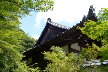 Fototapeta premium 芳徳寺 本堂 奈良県奈良市柳生下町