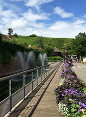 Ribeauville Riquewhr Colmar