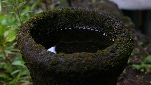 bird fountain with moss in a cabin in the forest