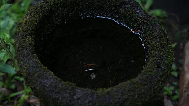 bird fountain with moss water ripples