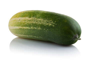 Ripe fresh cucumber