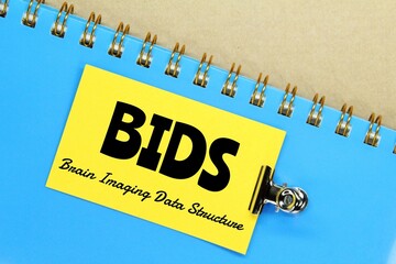 notebook, colored paper with the words BIDS or Brain Imaging Data Structure