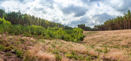Panoramic image of the forest landscape, multi-colored background, cloudy sky, in the morning, varied terrain, the forest forms a certain symmetry.