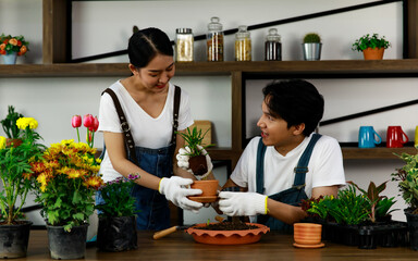 Young asian couple wearing jean overall and white t-shirt doing gardening and growing small plants and trees. Concept home garden hobby