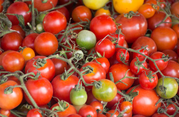 Group of tomato from farm,selective focus.