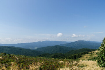 Bukowe Berdo - Bieszczady 