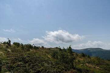 Bukowe Berdo Bieszczady 