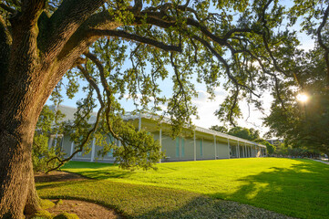 A nice view of The Menils Collection art museum in Houston TX