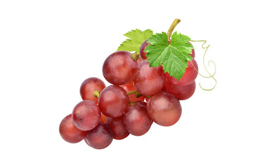 Red grape with leaves isolated on white background.