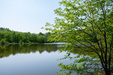 Summer landscape: a lake among green hills