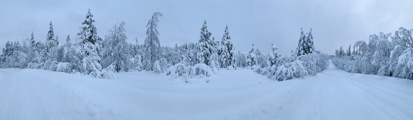 Fototapeta na wymiar Cold winter panorama of snow-covered road in frozen Arctic Circle forest